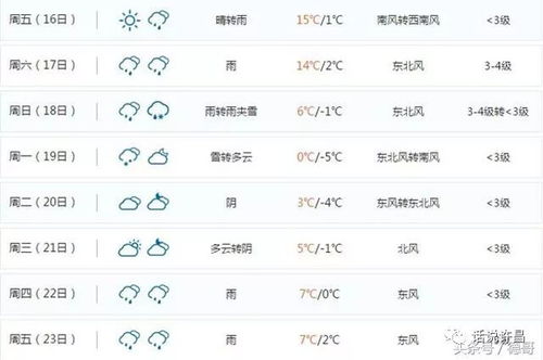 1. 基础纪年与节气信息