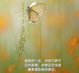 属相蛇射手座女性命运如何？蛇最忌讳的三个属相是什么意思？