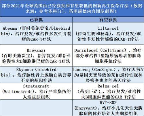 面部特征与幸福指数的内在逻辑