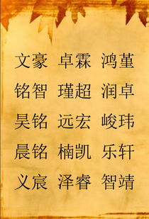 惯与起名的那些奇葩经历