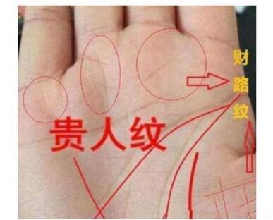 为什么看手相的人不能去道教学习？