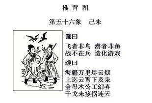 历史上的广泛应用及其社会影响