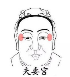 1. 眼部结构——较小眼睛、较大眼睛与情感维系