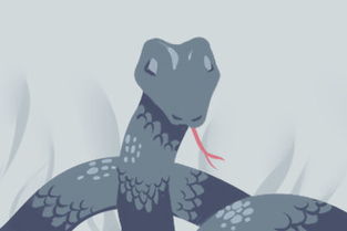 二、 “梦见更多数较小蛇”之常见解读框架