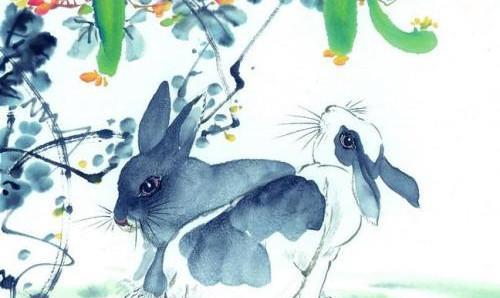 如何让75年属兔的人远离小人，并找到最旺财的植物？