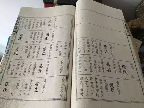 结论
