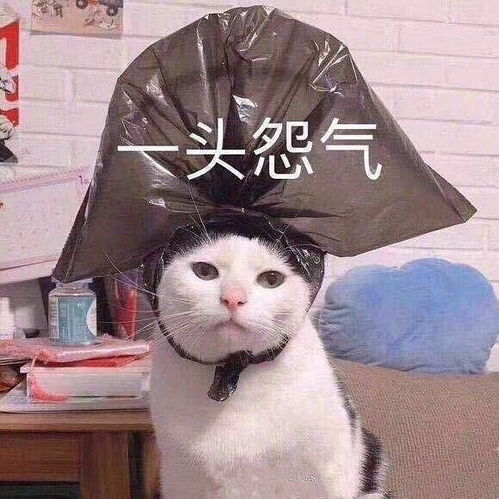 较深夜沉重播沙雕故事引发的超天然现象：从心理状态学角度解析恐怖体验的生成机制