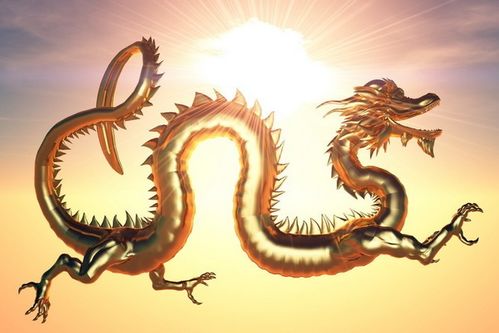 一、 诞生属性与性格倾向之系统阐释