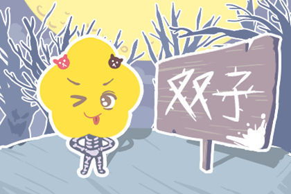 双子座属猪2026年全年运势详解，属猪射手座今年运气具体表现是什么？