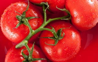 啊！那个该死的西红柿！为啥总在我梦里蹦跶？