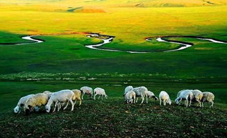 6. 布尔津县草原石人：了解草原文化 感受历史厚重