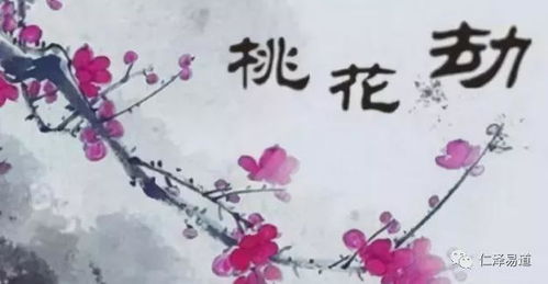 化解与调适策略：从自我修养到周边环境布局