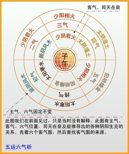 辛金：阴金之细