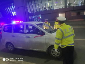 出发前的慌乱与后备箱的战争