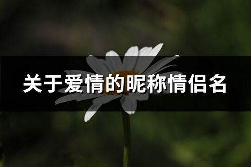 安静优雅的女生昵称与迷失心境之QQ网名——基于生肖星座与传统国学视角的系统性分析报告