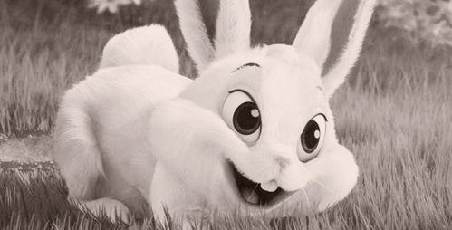 蛇和狗的生肖相冲吗，这是真的吗？