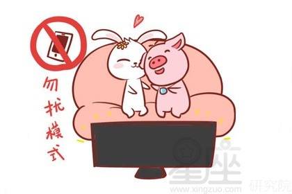 属兔的男性性格特点有哪些？属兔男人性格解析具体包括哪些方面？
