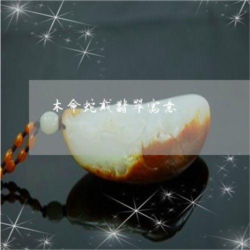 土蛇木命的人最适合从事哪些职业？