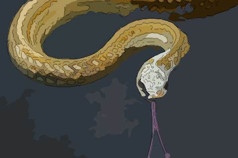 一大早遇到蛇，风水上最旺的摆件是什么？