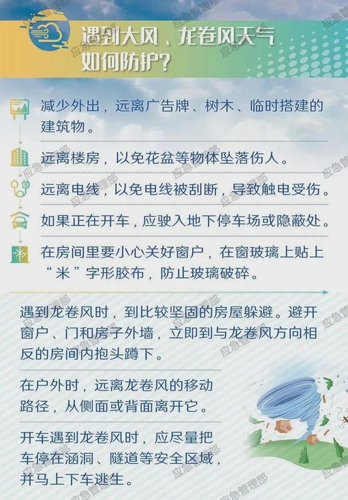 4. 鼠（鼠）——节奏感的灵活性
