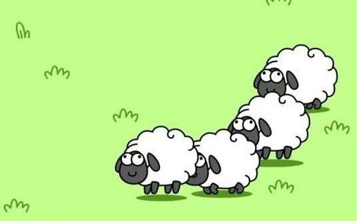 请问将配生仔免请咩人改指哪个生肖的习俗呢？