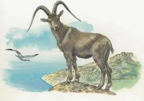 2026年出生属羊的人财运怎么样？