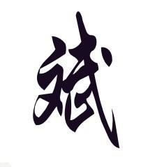 组合四：泰斌