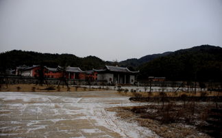 当代实践：近期事件记录与社会传播效应