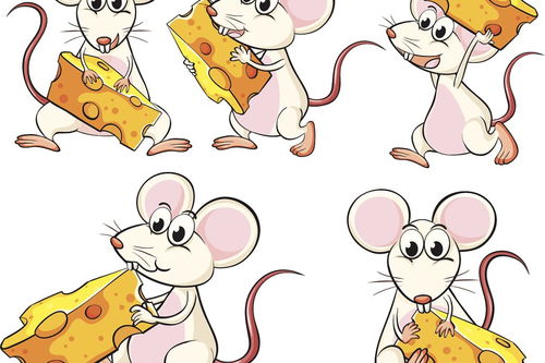 老什么生肖买来最丑最老的动物，能组合成哪个生肖呢？