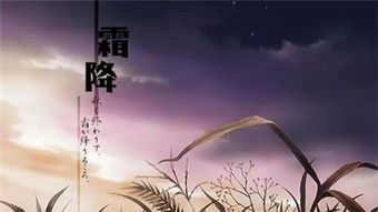 古人对霜降节气的认知与习俗