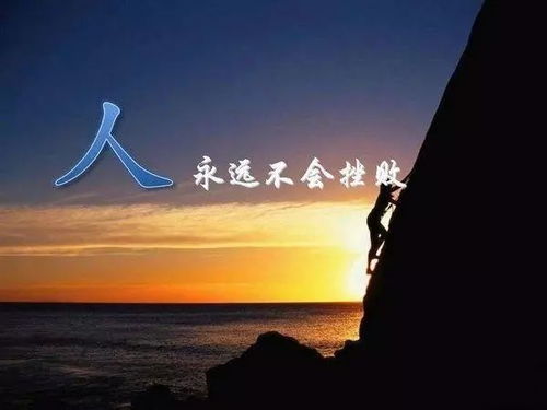 一、 关于旁观者效应与情感共鸣的现实阐释