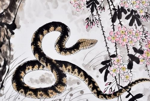 属蛇77年出生的人命运究竟如何，会有哪些忒别的运势和挑战？