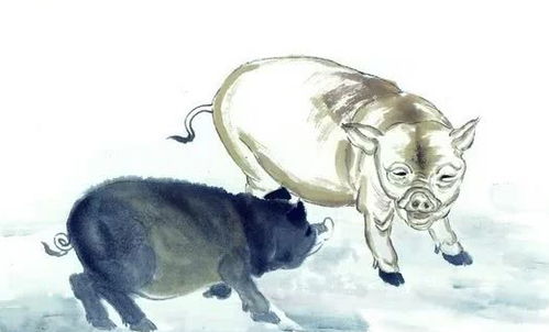 属猪男与属鼠女婚姻是否合财，他们的结合会带来怎样的财运？