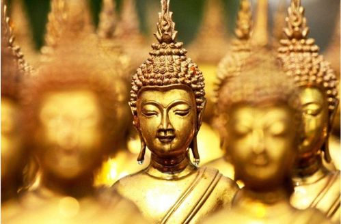 ：佛教文化中的“佛头著粪”与生肖运势的深层隐喻