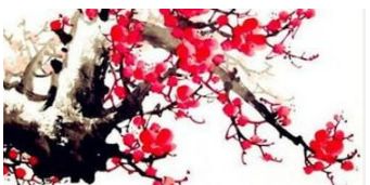 梅花易数在房屋风水预测中的优势分析