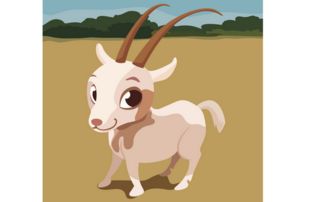 2026年属羊人的财运和运势具体如何？