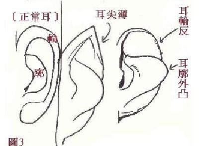 寄生型人格与依赖性