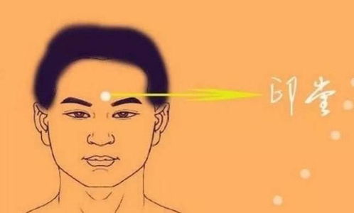 五、 创业者的特质：从失败到成功的启示