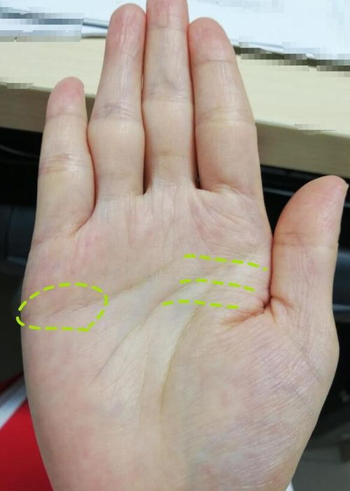 一、 研究背景与目的概述