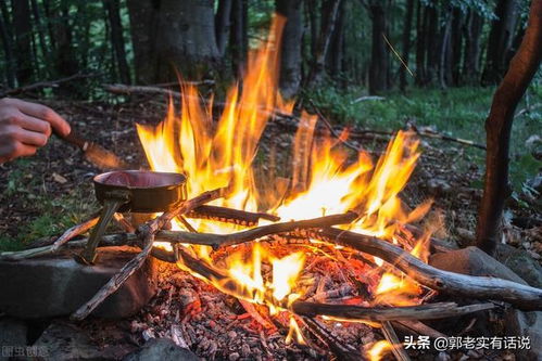 八字中未土金水是否忌讳遇到卯木，巳火是否克制卯木？