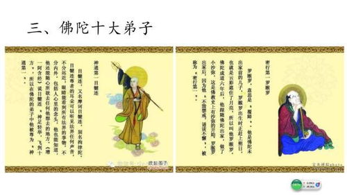 现代人离不开的生肖文化