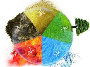 人际关系的构建与维护