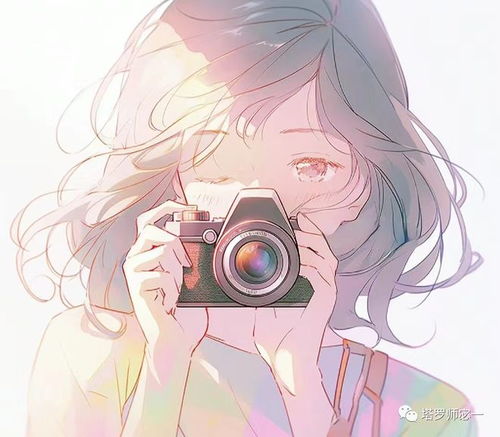 五、 自主意志与选择范围之约束