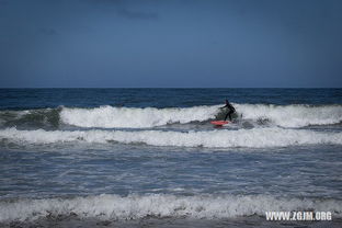 梦见划船掉水里了是什么预兆或心理暗示？