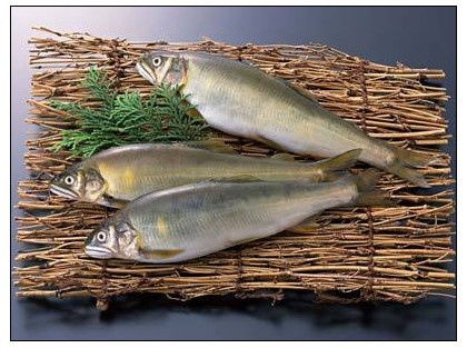 五、 生鲜原料之寄生虫风险——未经加工即食之隐患解析