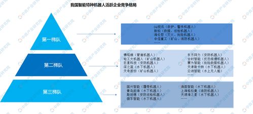 二、命理格局解析及持续发展轨迹预测
