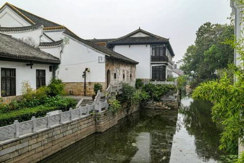 成都禅修店附近有哪些景点或文化地值得游览体验？