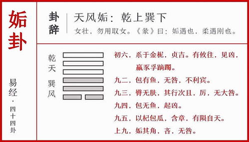 天风姤卦中，事情吉凶如何判断？这个卦象是吉卦吗？
