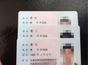 一听到价格我就想哭