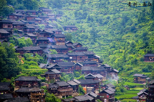 惯与者阝花千骨景区的那些事儿